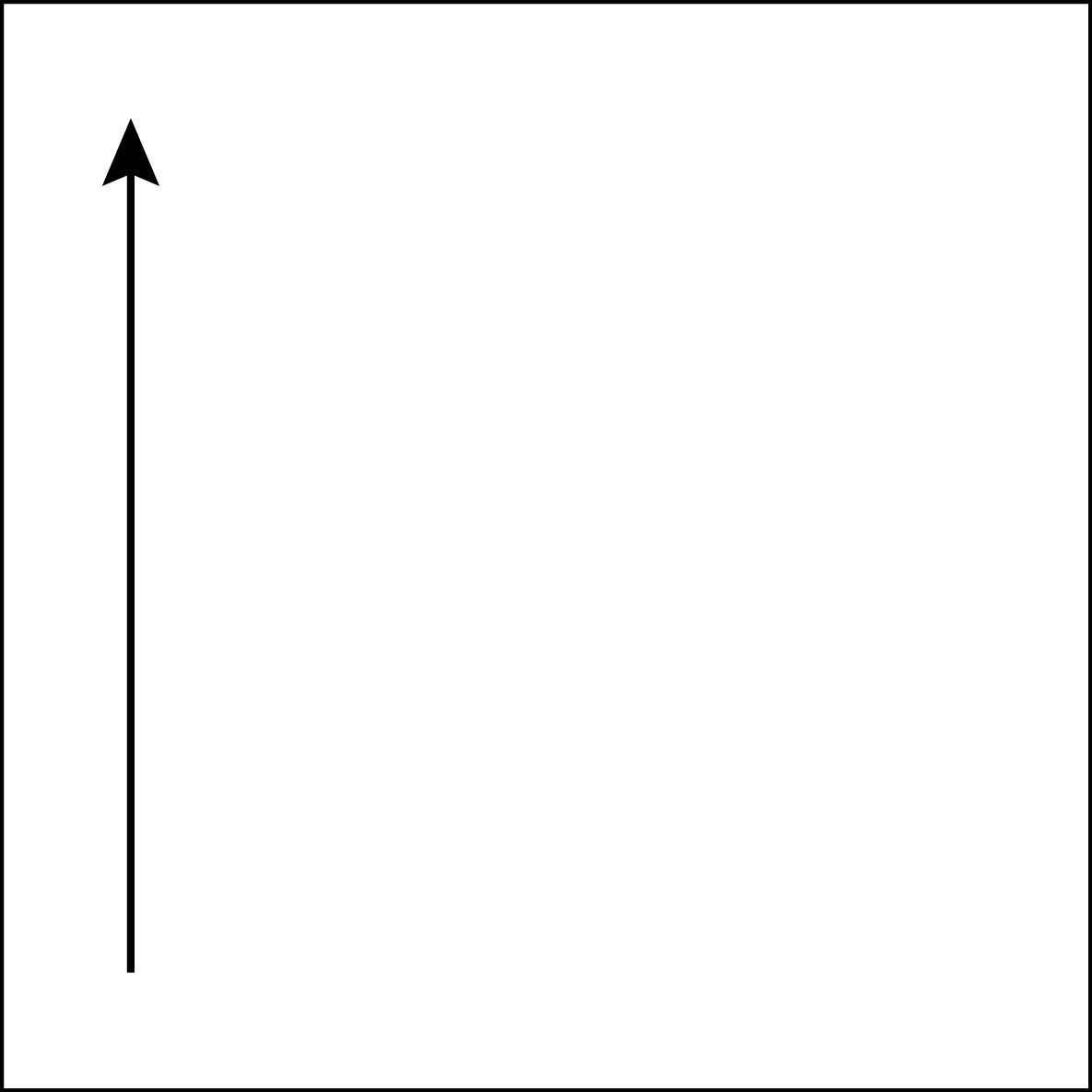 Die Linienführung im System der Fotografie Zen 42